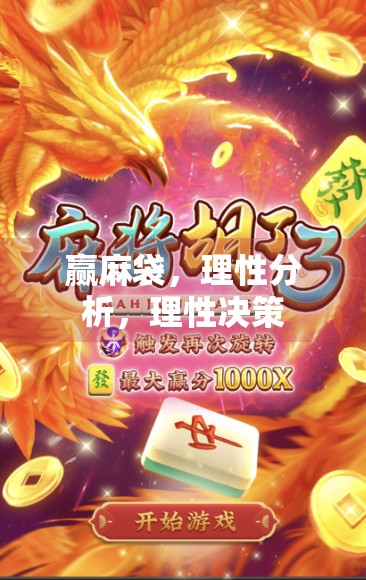 赢麻袋，理性分析，理性决策