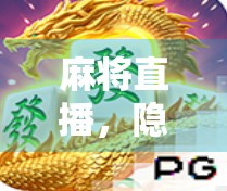麻将直播，隐藏的趣味与挑战
