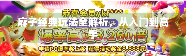 麻子经典玩法全解析，从入门到高手